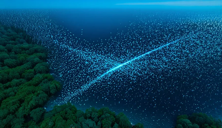 Autonomous Exploration